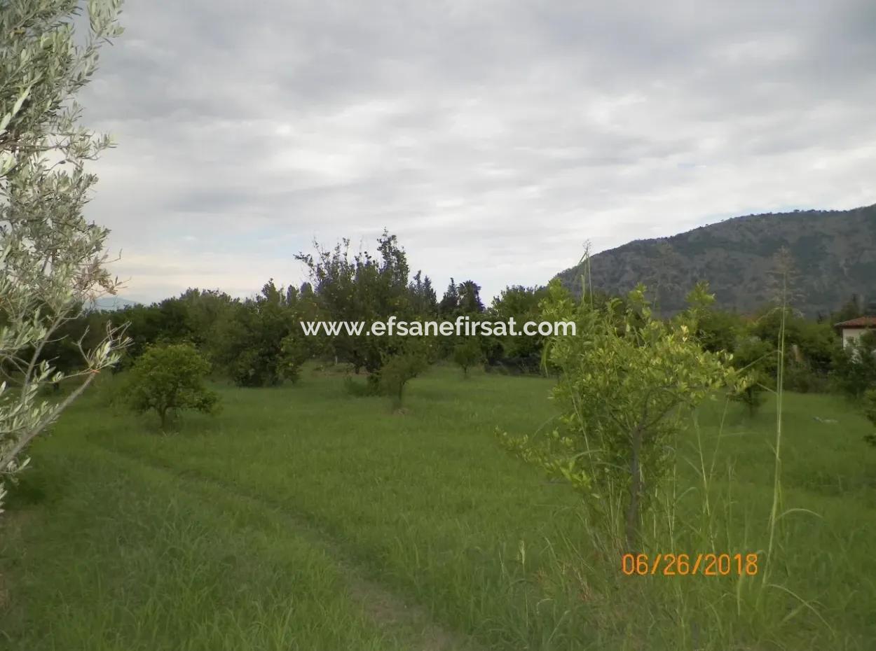 Land For Sale In Dalyan, Property For Sale Bargain