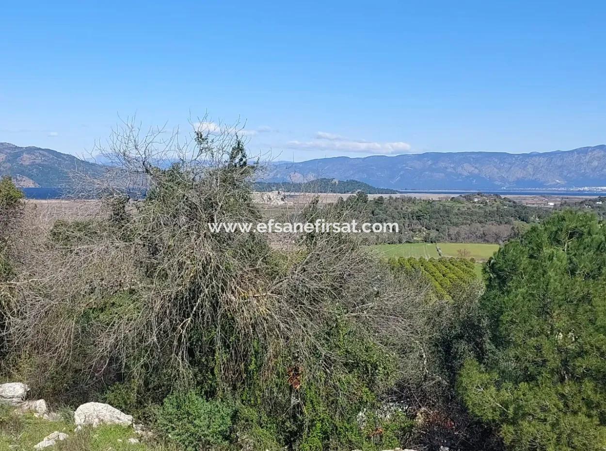 1.000M2 Detached Land With Köyceğiz Lake View For Sale In Dalyan