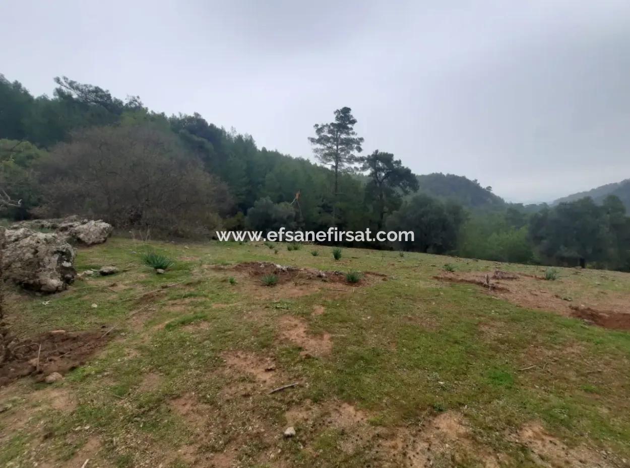 24.000 M2 Detached Land For Sale In Muğla Dalyan Gökbelde Nature