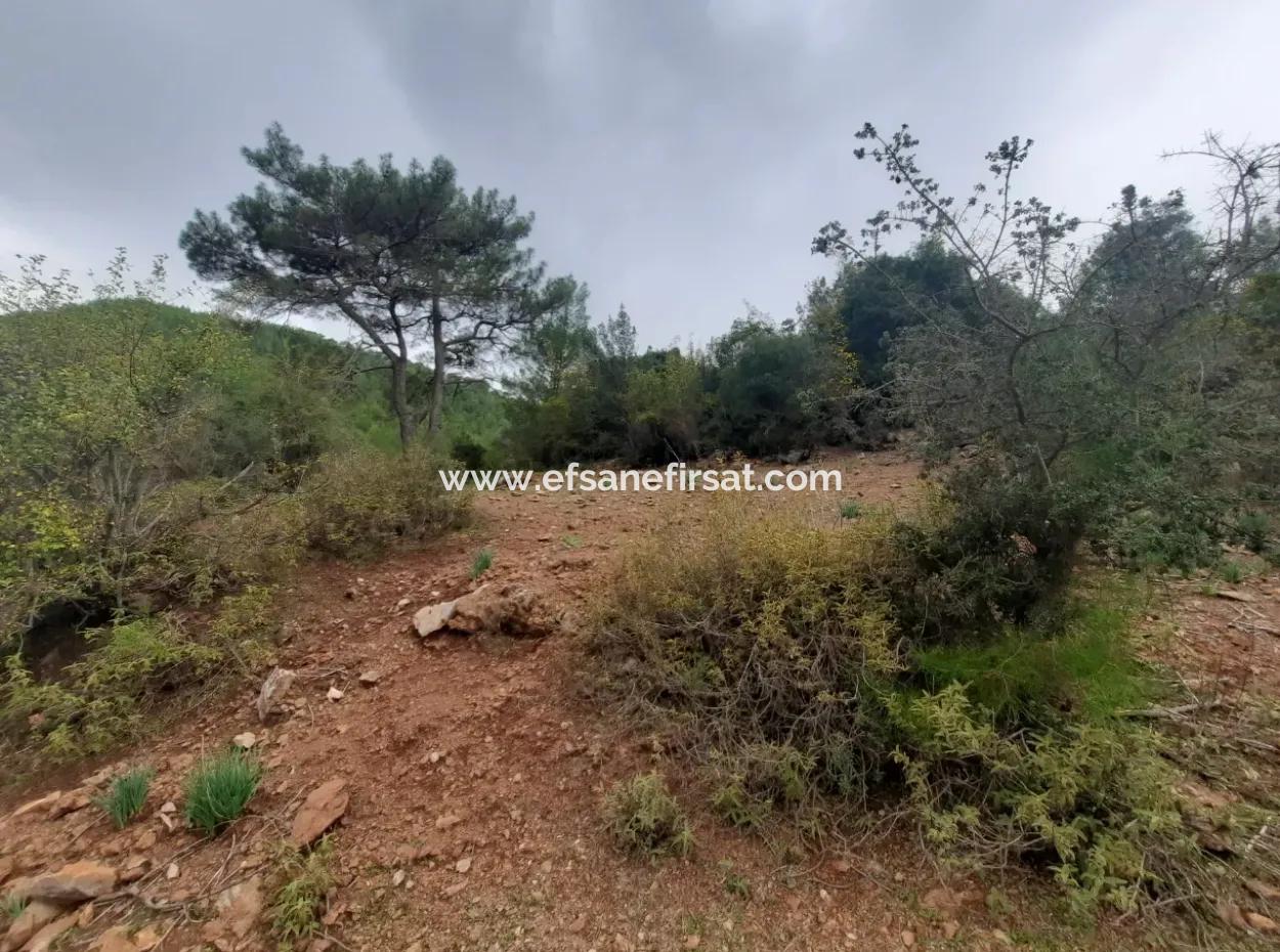 24.000 M2 Detached Land For Sale In Muğla Dalyan Gökbelde Nature
