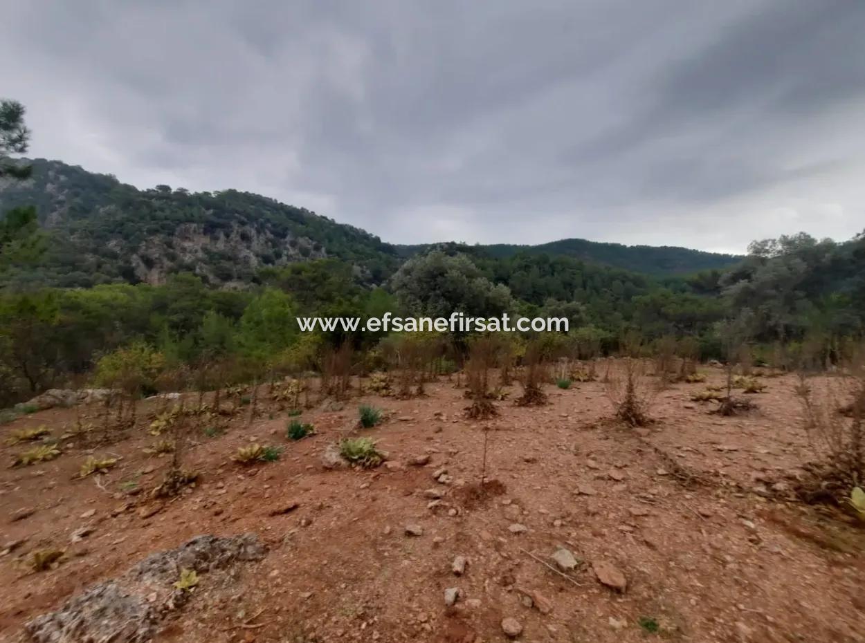 24.000 M2 Detached Land For Sale In Muğla Dalyan Gökbelde Nature