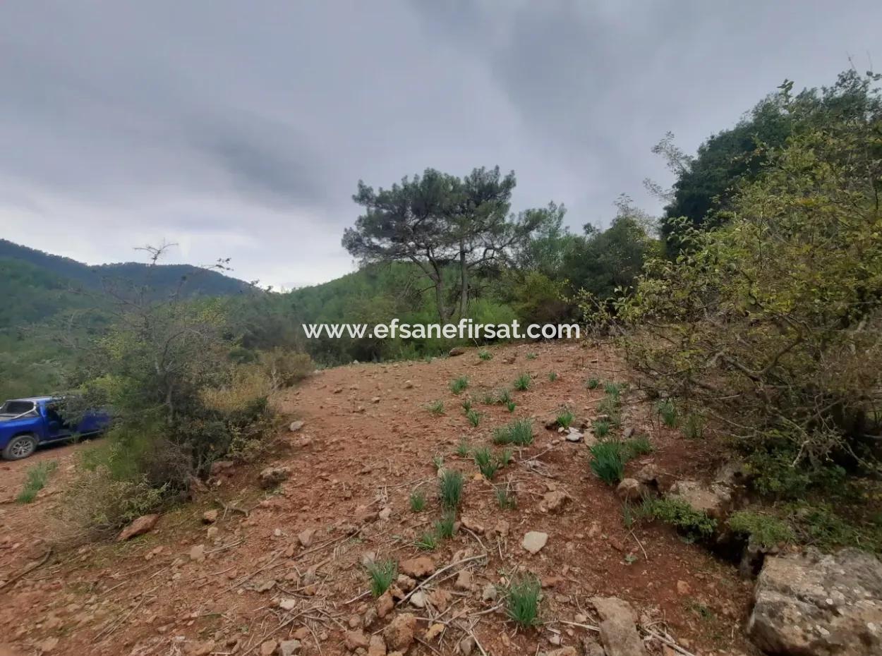 24.000 M2 Detached Land For Sale In Muğla Dalyan Gökbelde Nature