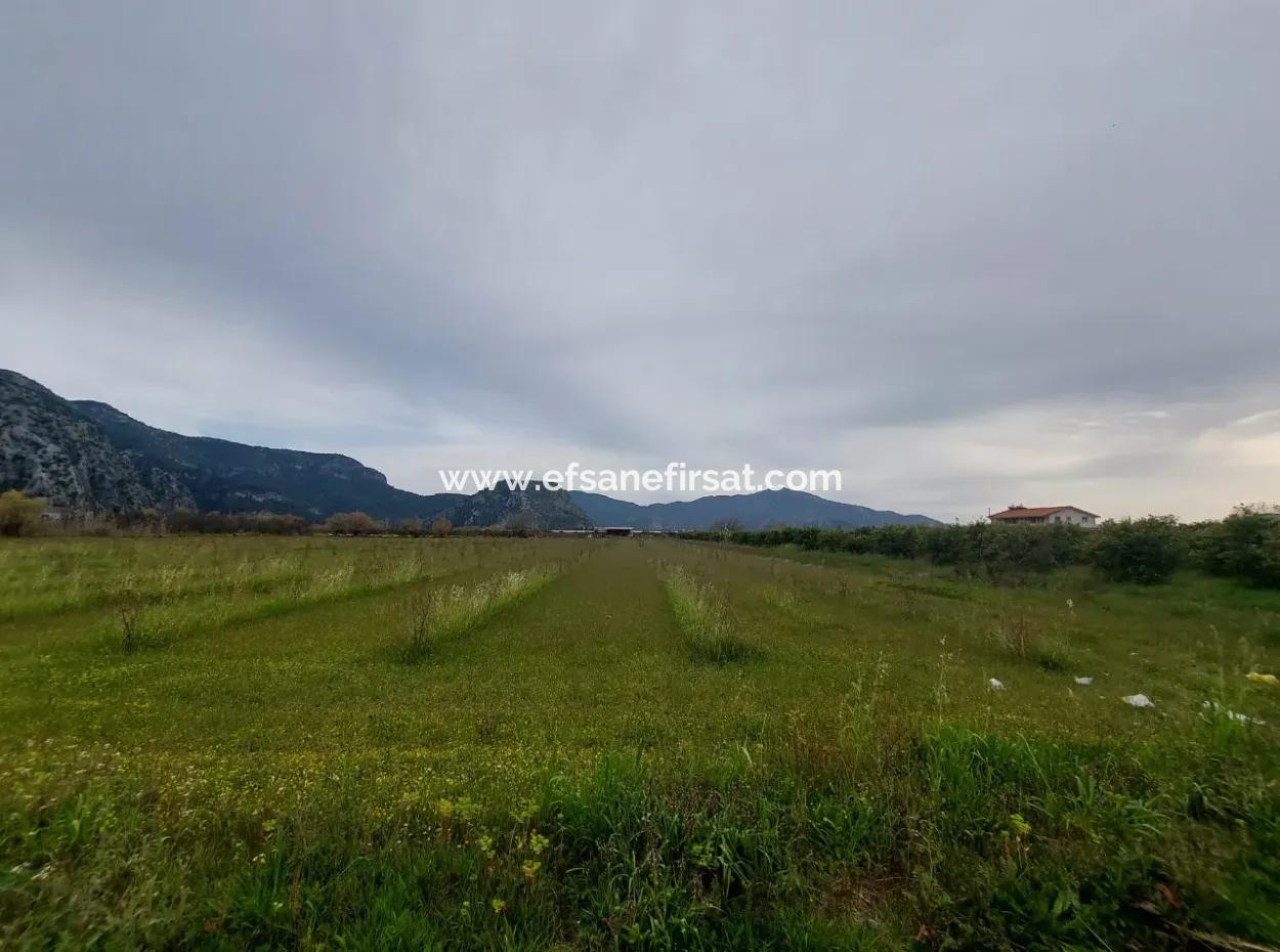5 000 M2, 250 M2 Construction Permit, Land Close To Dalyan Canal For Sale In Dalyan, Muğla
