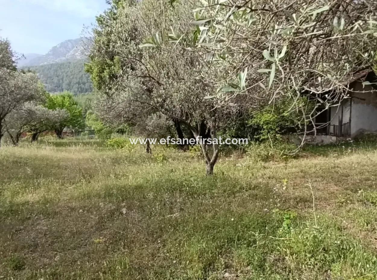 1228 M2 Land And Kargir House For Sale In Muğla Menteşe Yaraş, Village In Village.   