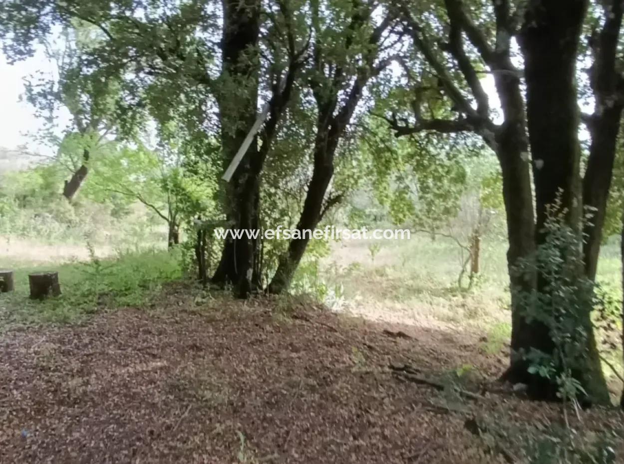 1228 M2 Land And Kargir House For Sale In Muğla Menteşe Yaraş, Village In Village.   