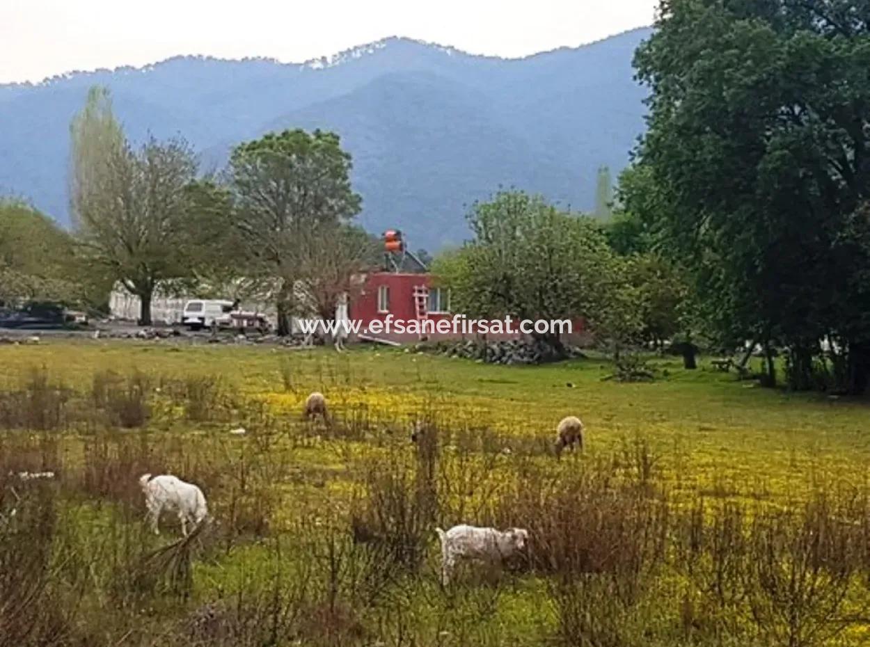 3 577 M2 Land Suitable For Zero Investment On Dalyan Main Road In Muğla Ortaca Okçular