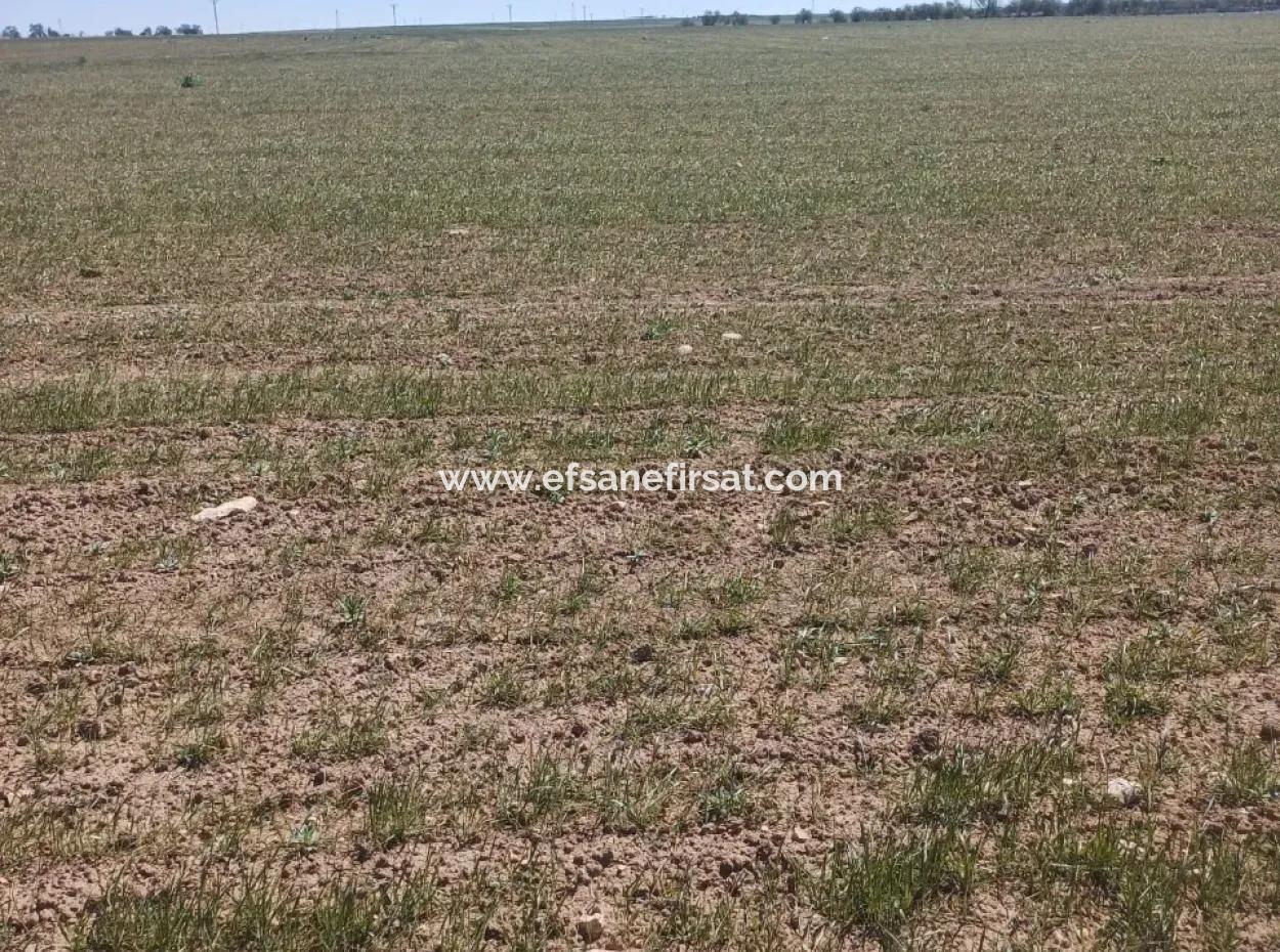Konya Kadinhani Baskuyu 650.000 M2 Bargain Land For Sale