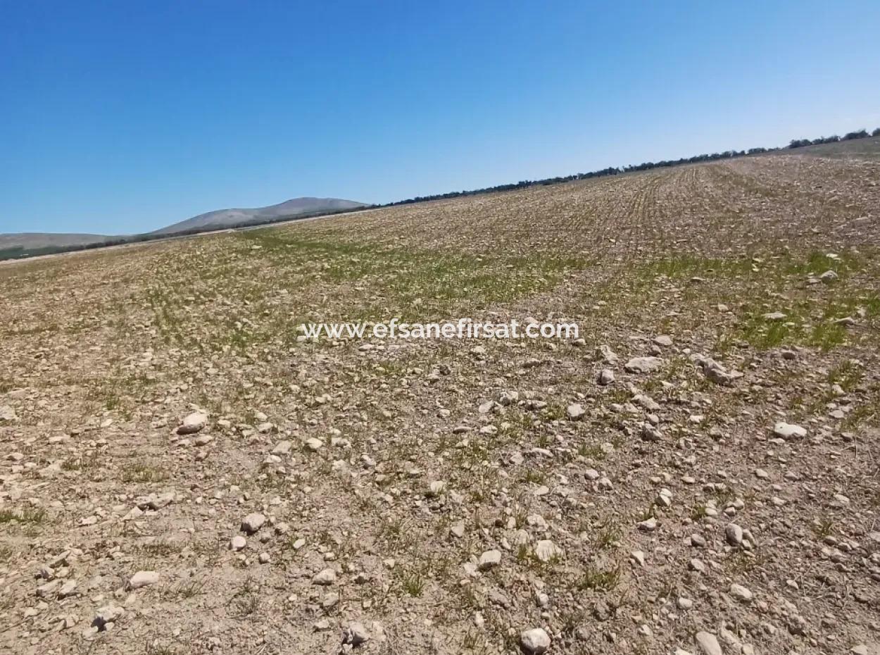 Konya Kadinhani Baskuyu 650.000 M2 Bargain Land For Sale