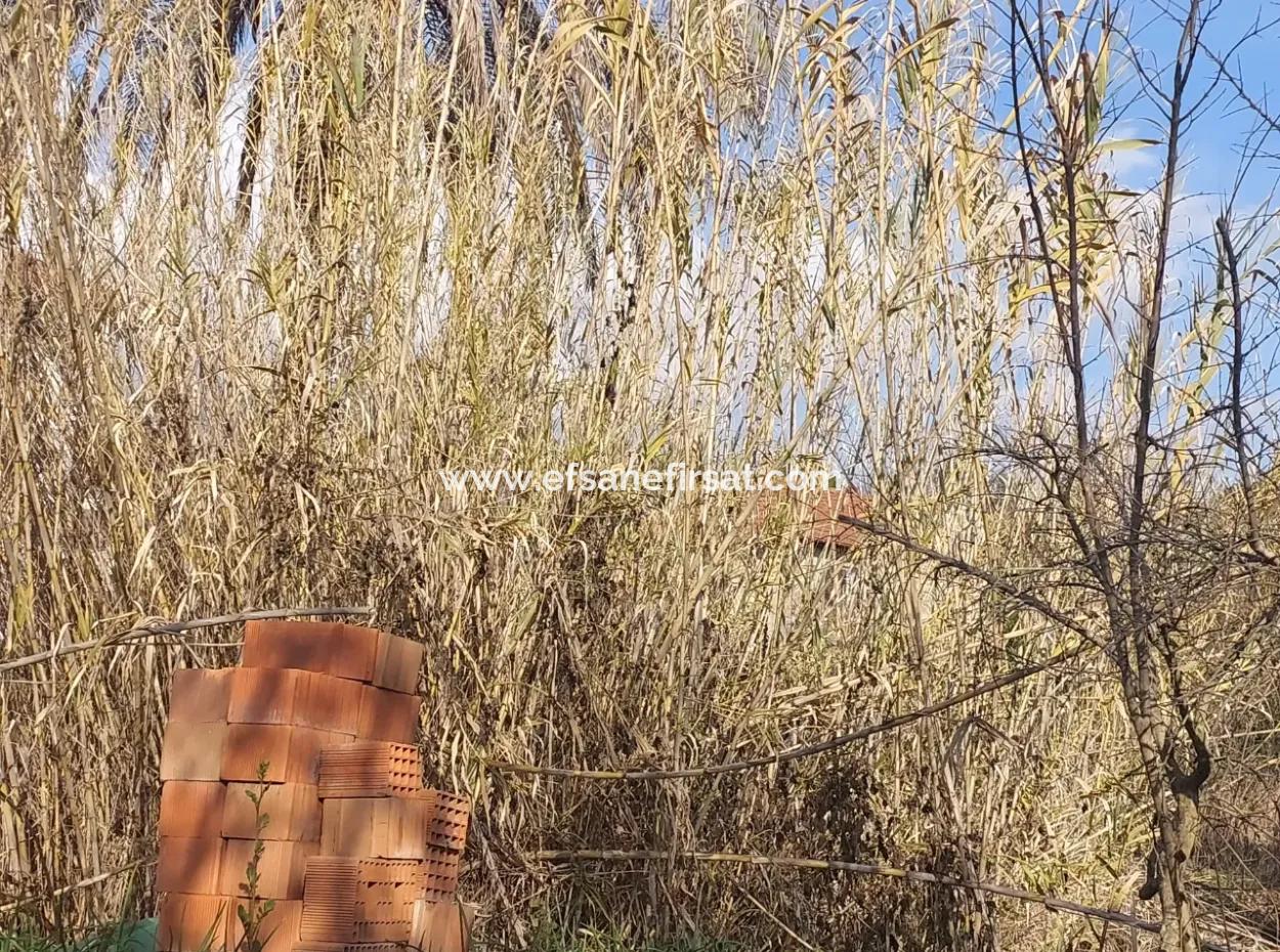 850 M2, 25/50 Residential Zoned Land Close To The Lake In Köyceğiz For Sale