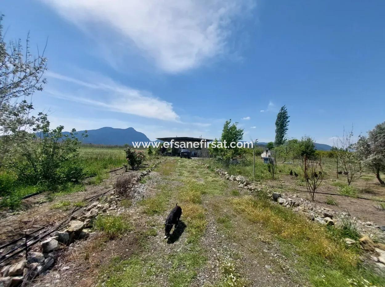 Detached House And Land For Sale In Muğla Ortaca Tepearası