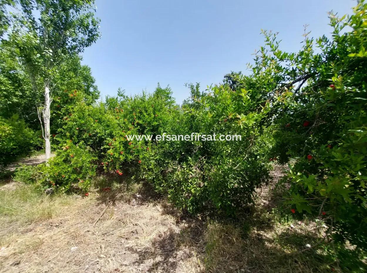 500 M2 Land With Rızai Partition In Ortaca Kemaliye For Emergency Sale