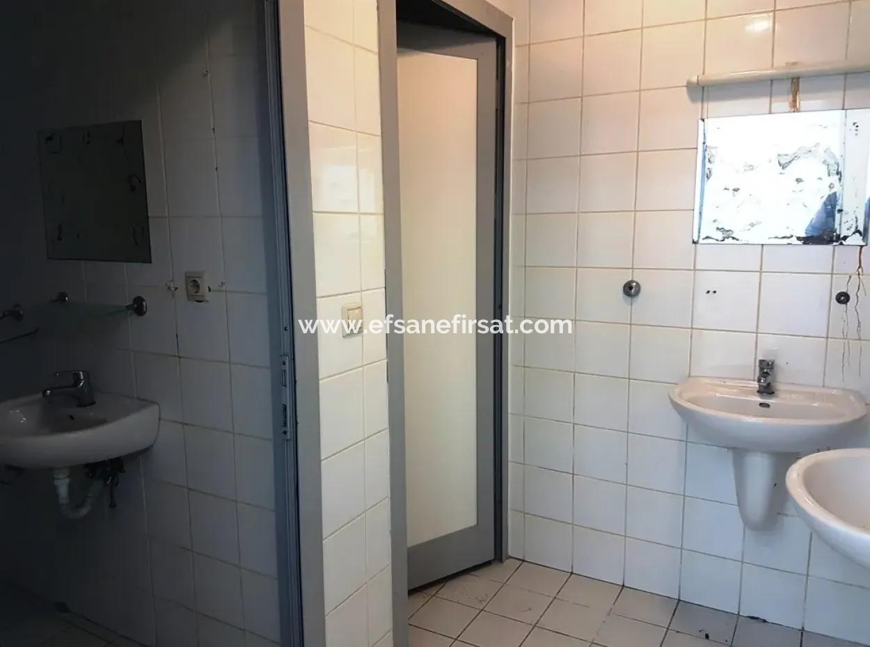 Oriya Also Bargain Shop For Sale