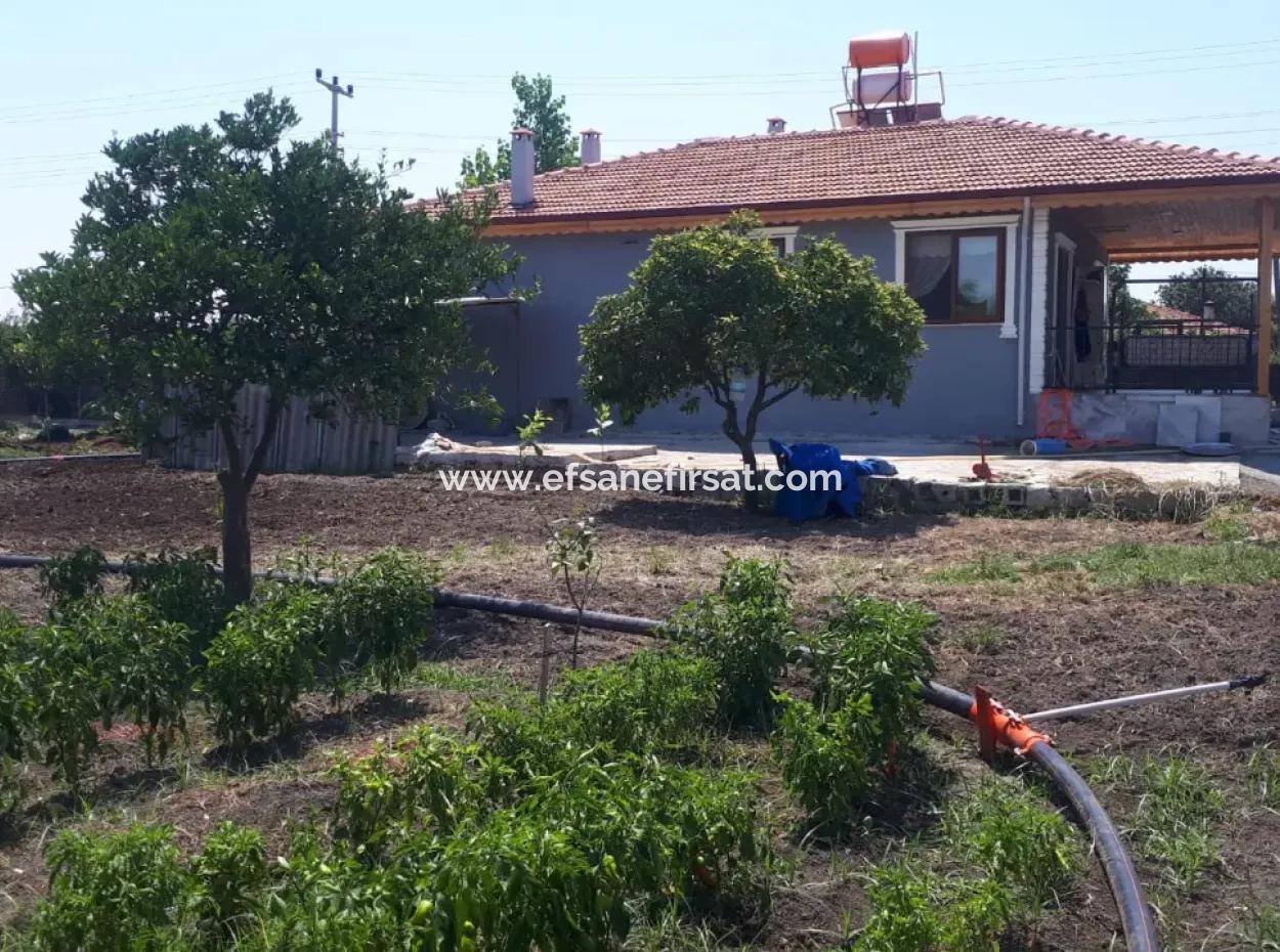 5400 M2 Ready-Made Farm For Sale In Ortaca Arıkbaşı