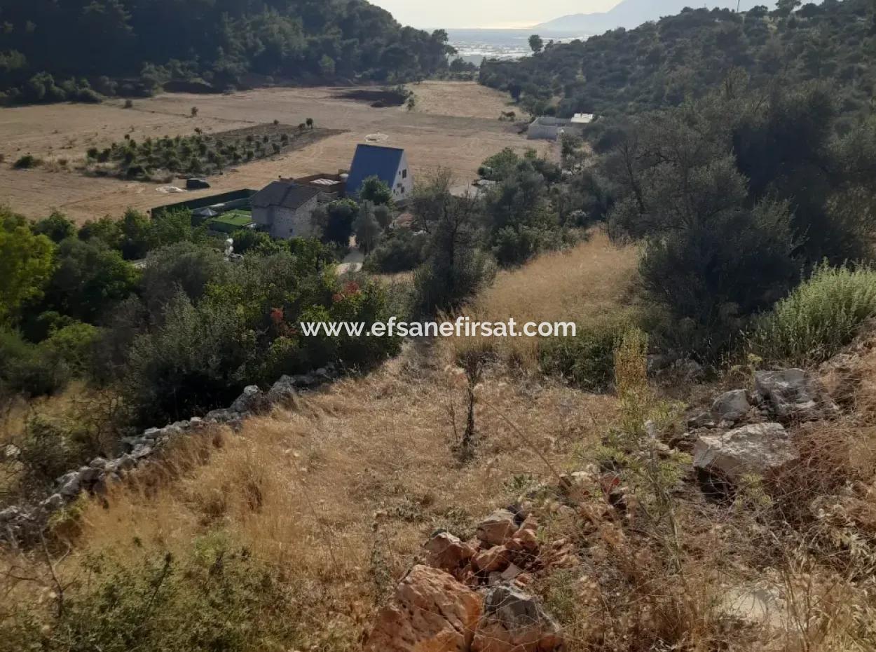 12 300 M2 Land Suitable For Investment For Sale In Antalya Kaş Kalkan Islam