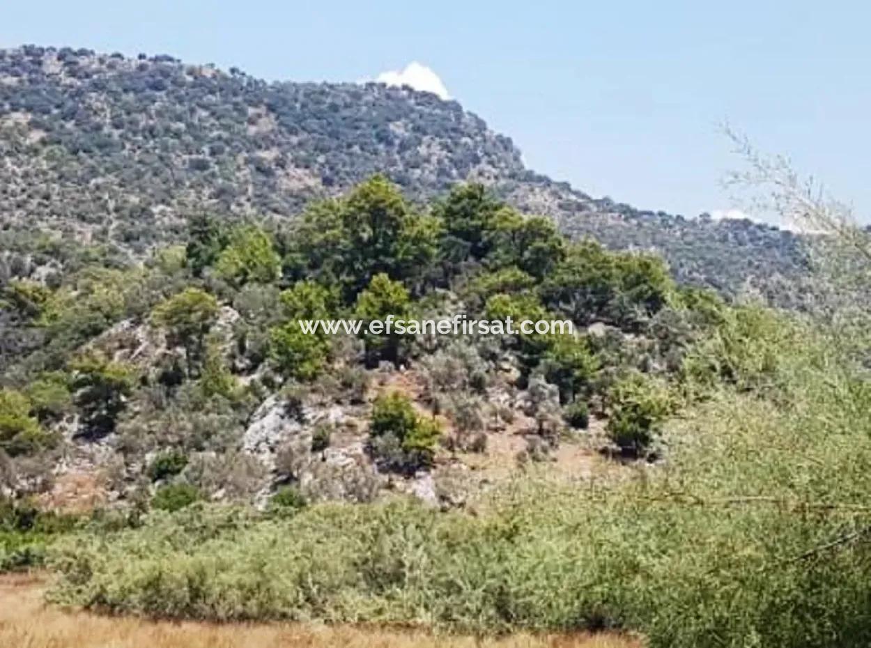74,000 M2 Sea View Land For Sale In Dalaman Kapıkargın