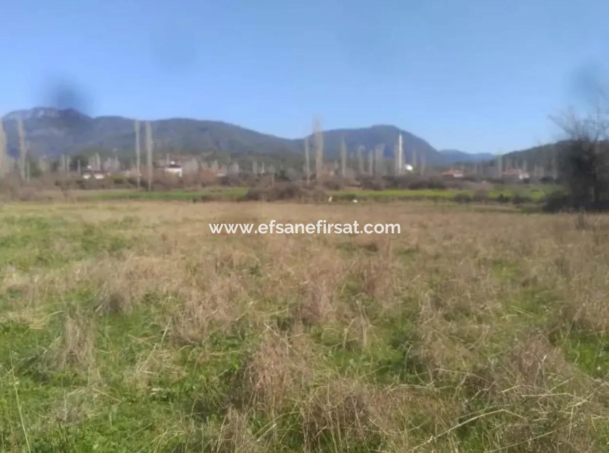Land For Sale In Bargain Detached Zeytinalani