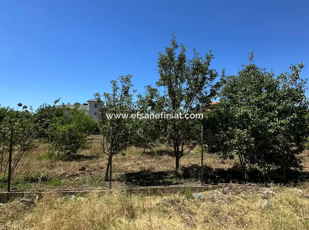 650 M2 30% Zoned Land For Sale In Ortaca Center