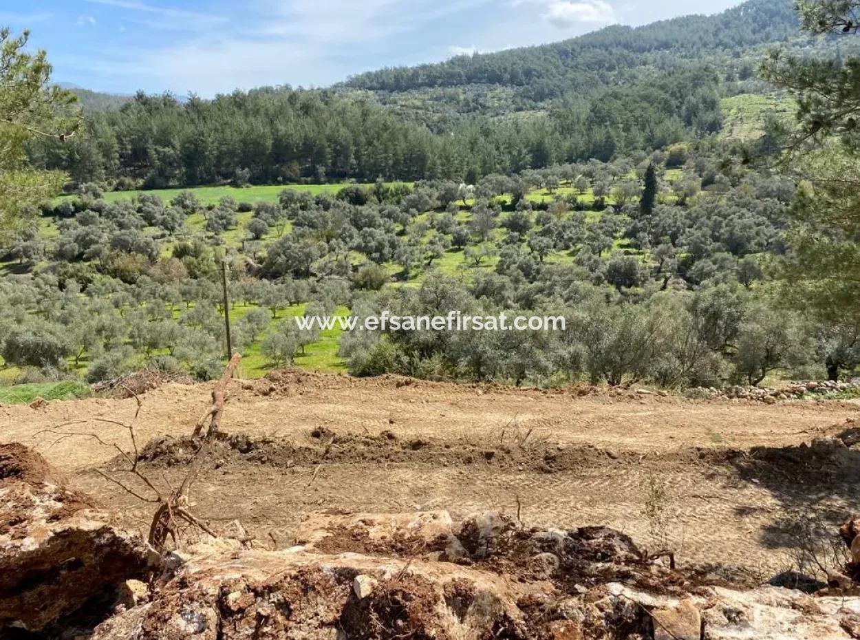 2500 M2 Flat Data Detached Land For Emergency Sale In Milas Karacahisar, Open To Offer