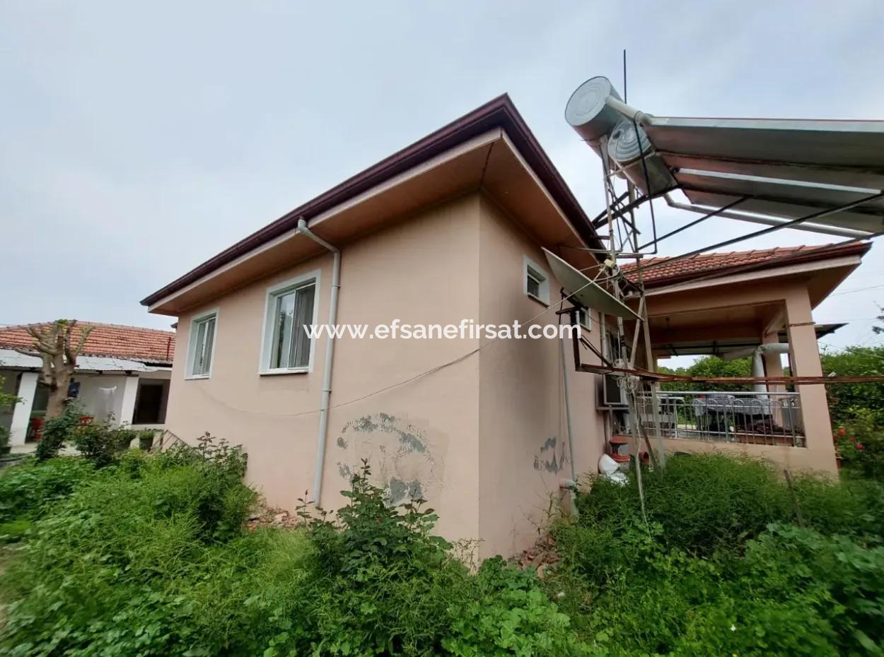 Village House And Farm For Sale On 6.650 M² Fertile Land In Muğla Köyceğiz Poplar
