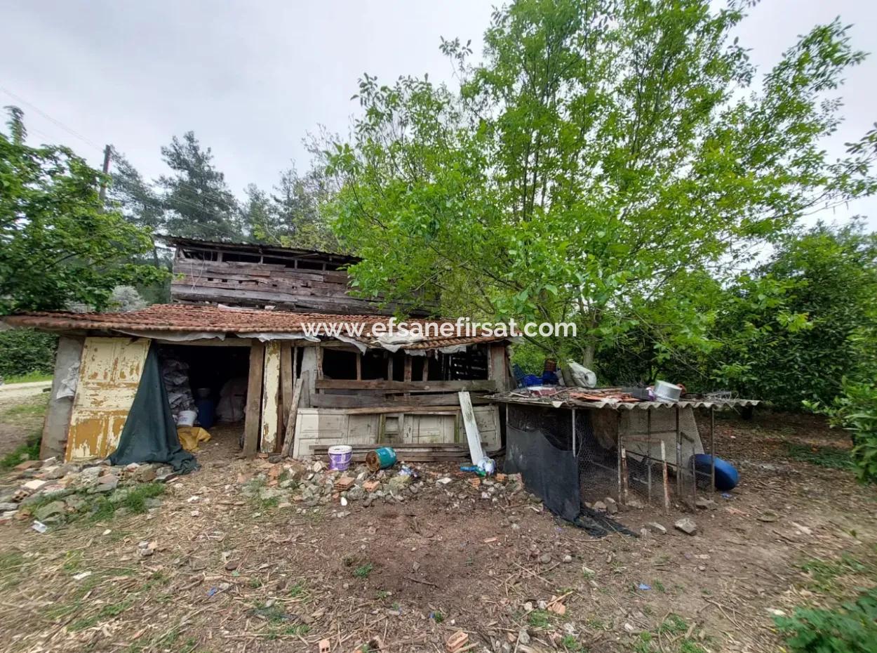 Village House And Farm For Sale On 6.650 M² Fertile Land In Muğla Köyceğiz Poplar