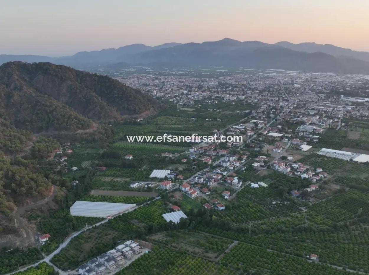 Detached 5.000 M² Lemon Garden With 150 M² Construction Rights In Ortaca Çaylı For Sale Or Exchange