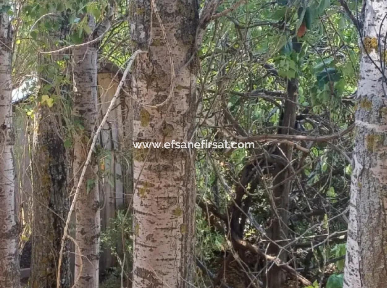 2 Storey Stone House For Sale On 750 M² Land In Denizli Çameli Gökçeyaka