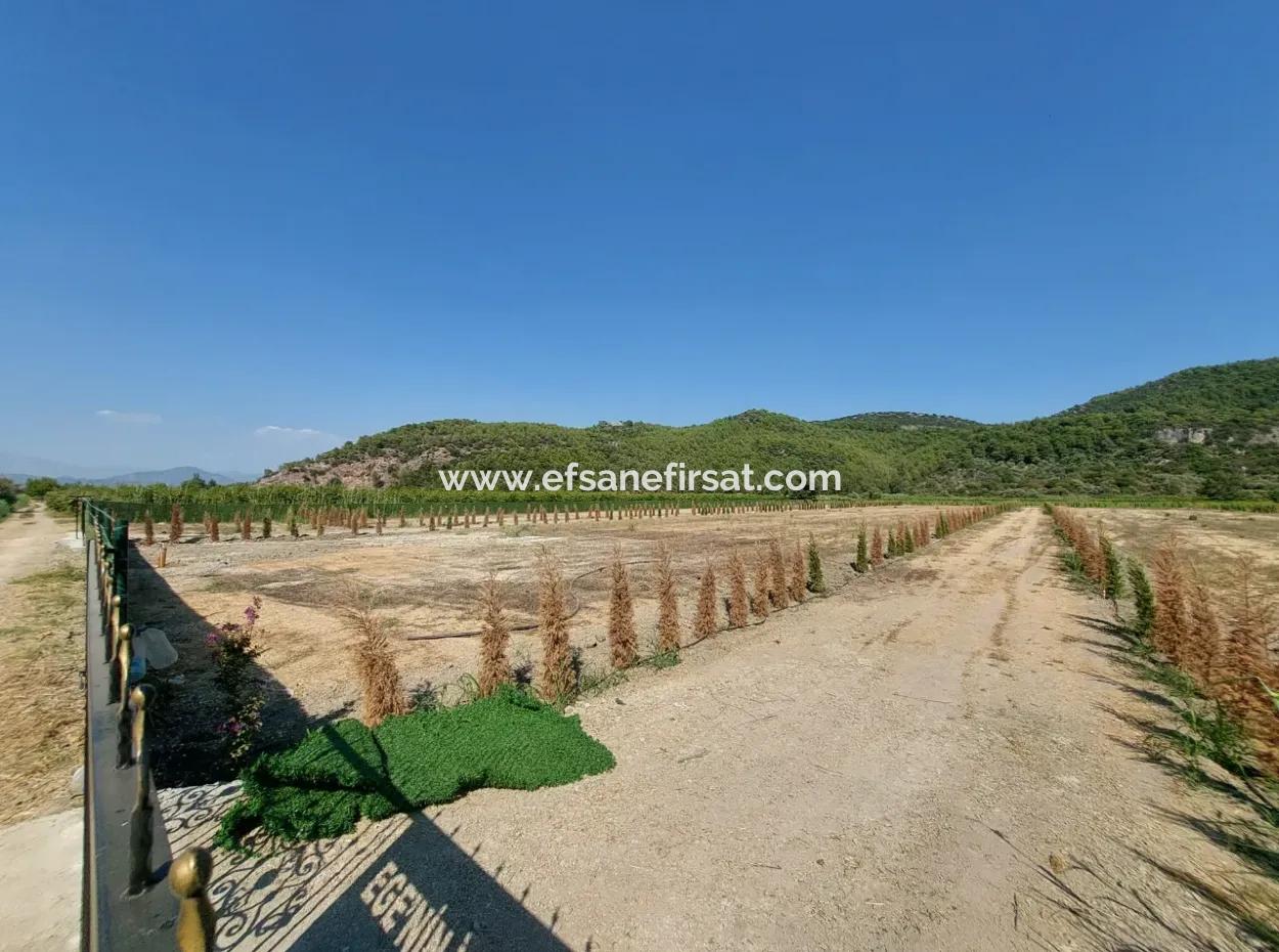 Cooperative Shares For Sale In Ortaca Güzelyurt – 270 M²