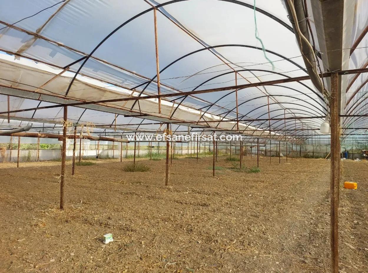 5.850 M² Lake View Land And Village House For Sale In Ortaca Eskiköy