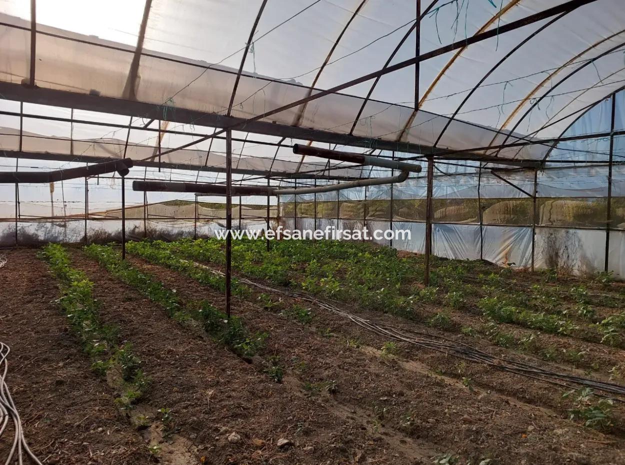 5.850 M² Lake View Land And Village House For Sale In Ortaca Eskiköy