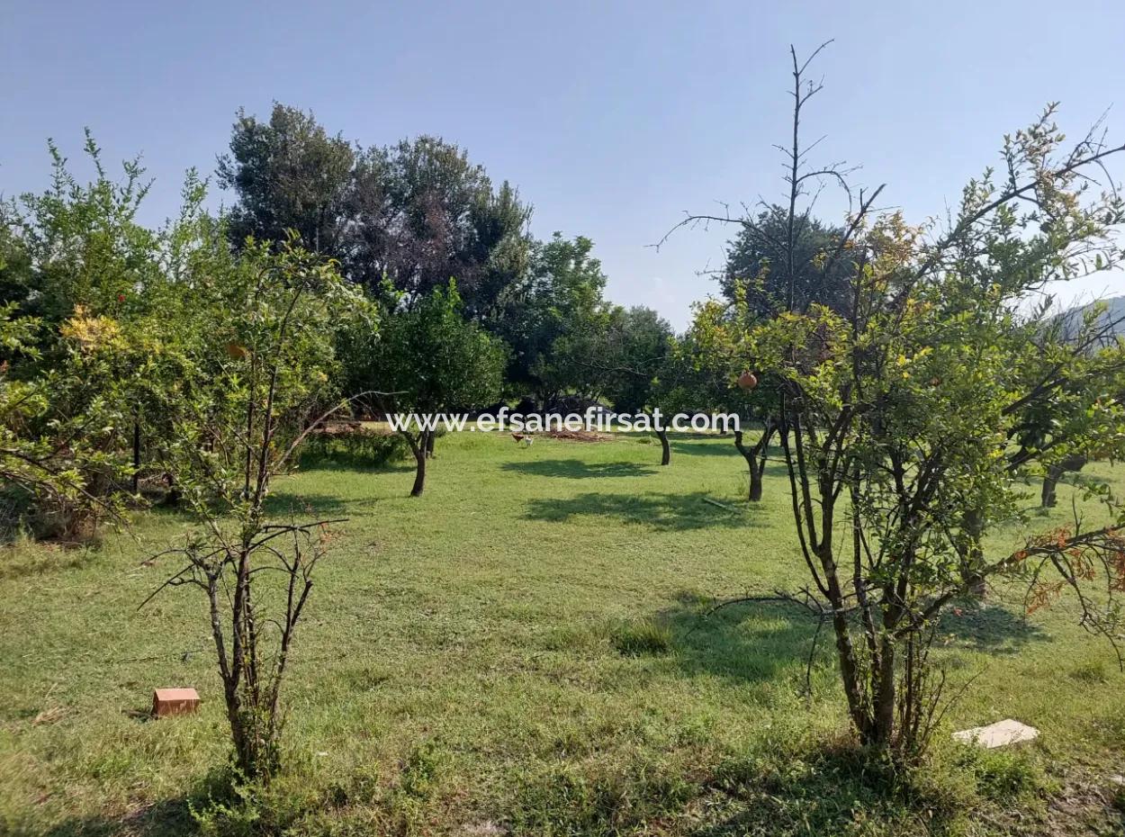 2.500 M² Detached Title Deed Investment Land For Sale In Ortaca Kemaliye