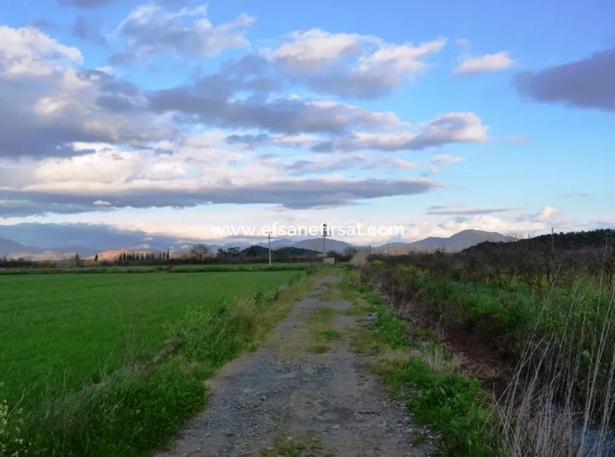 Detached Fertile Bargain Land For Sale In Ortaca Mergenli