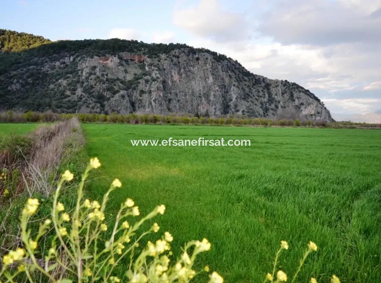 Detached Fertile Bargain Land For Sale In Ortaca Mergenli