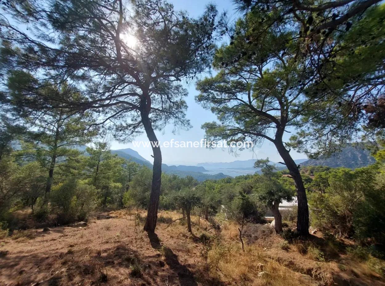 1.361 M² Investment Land With Lake And Sea View For Sale In Muğla Ortaca Gökbel