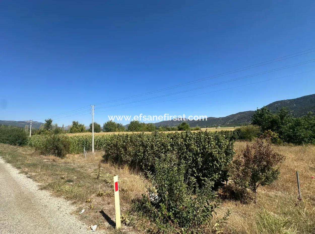3070 M2 Walnut Orchard For Sale On The Side Of The Main Road In Denizli Çameli