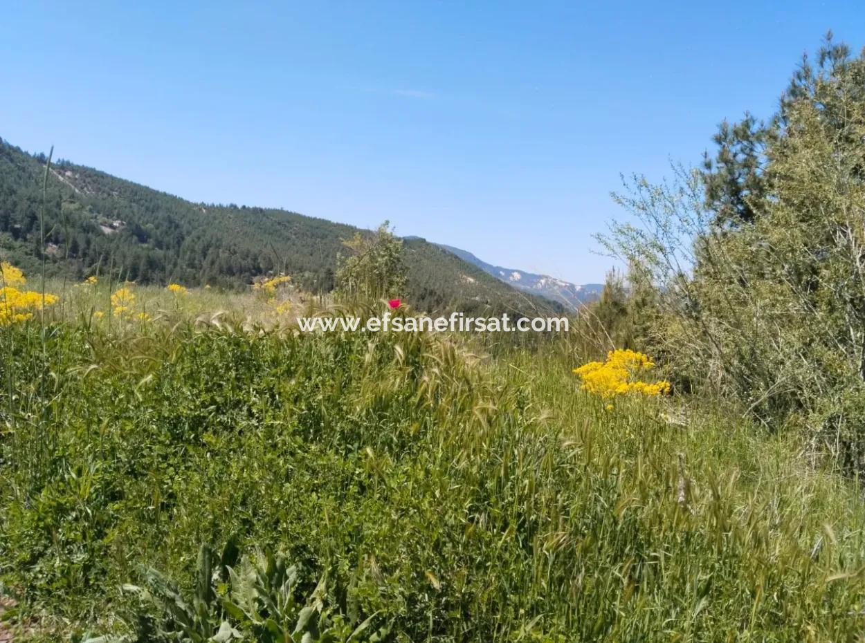 Çameli Kolakta Bargain 20 000 M2 Detached Title Deed Land Is For Sale Or Exchange.