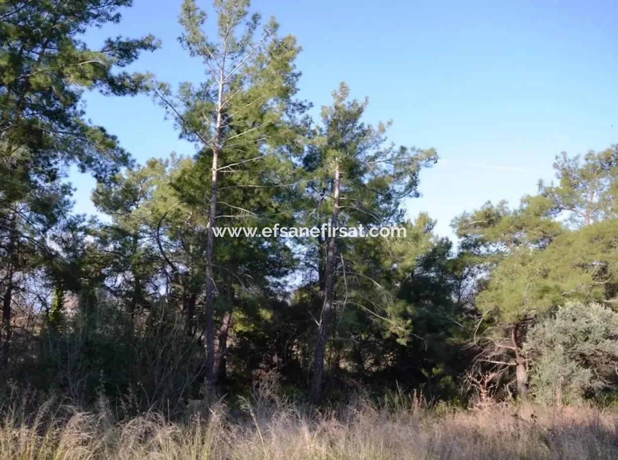 Valuable Waterfront Land For Sale In Tlos Fethiye Collar