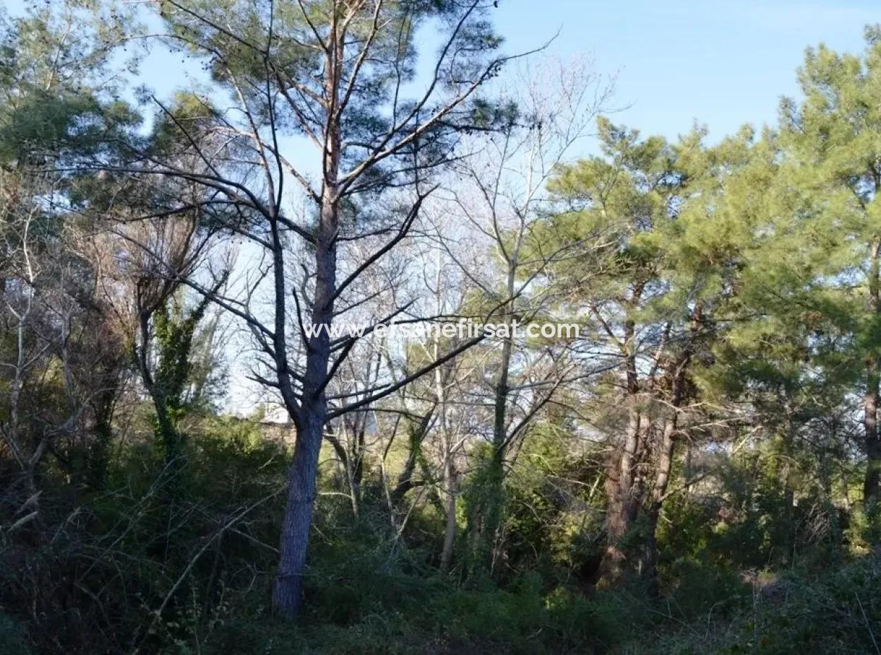 Valuable Waterfront Land For Sale In Tlos Fethiye Collar