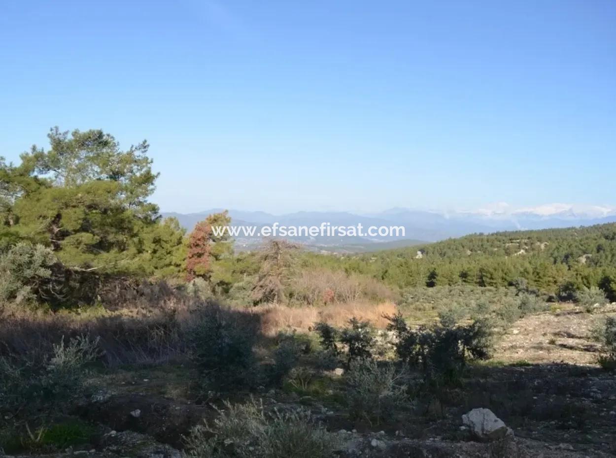 Valuable Waterfront Land For Sale In Tlos Fethiye Collar