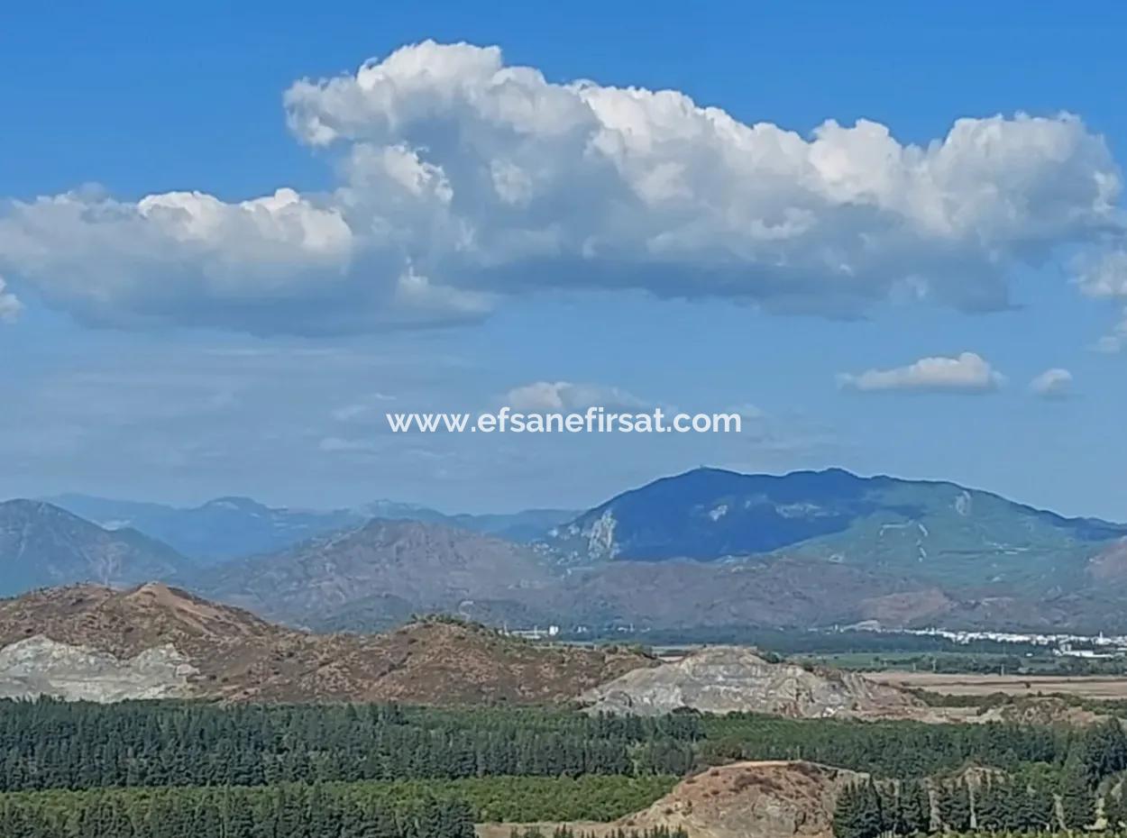 Ortaca Fevziye Sea And Nature View Bargain Detached Olive Grove For Sale