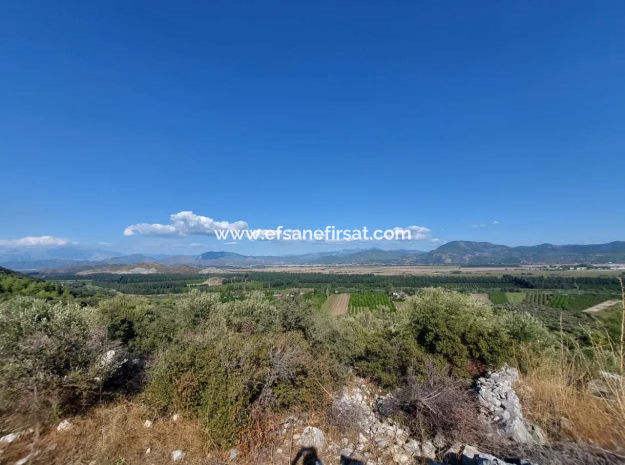 Ortaca Fevziye Sea And Nature View Bargain Detached Olive Grove For Sale