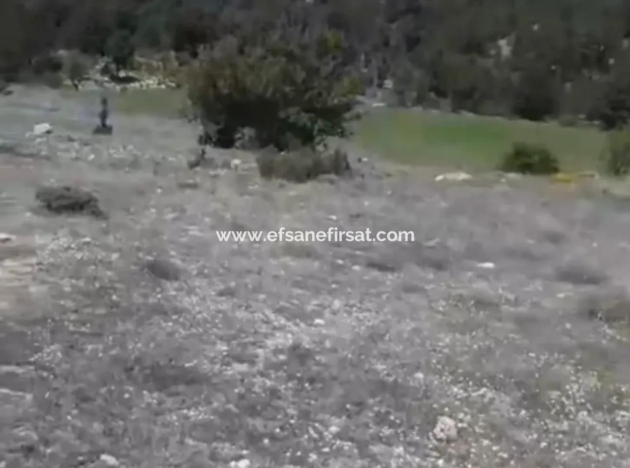 1770 M2 Field For Sale In Çameli Ayvacık