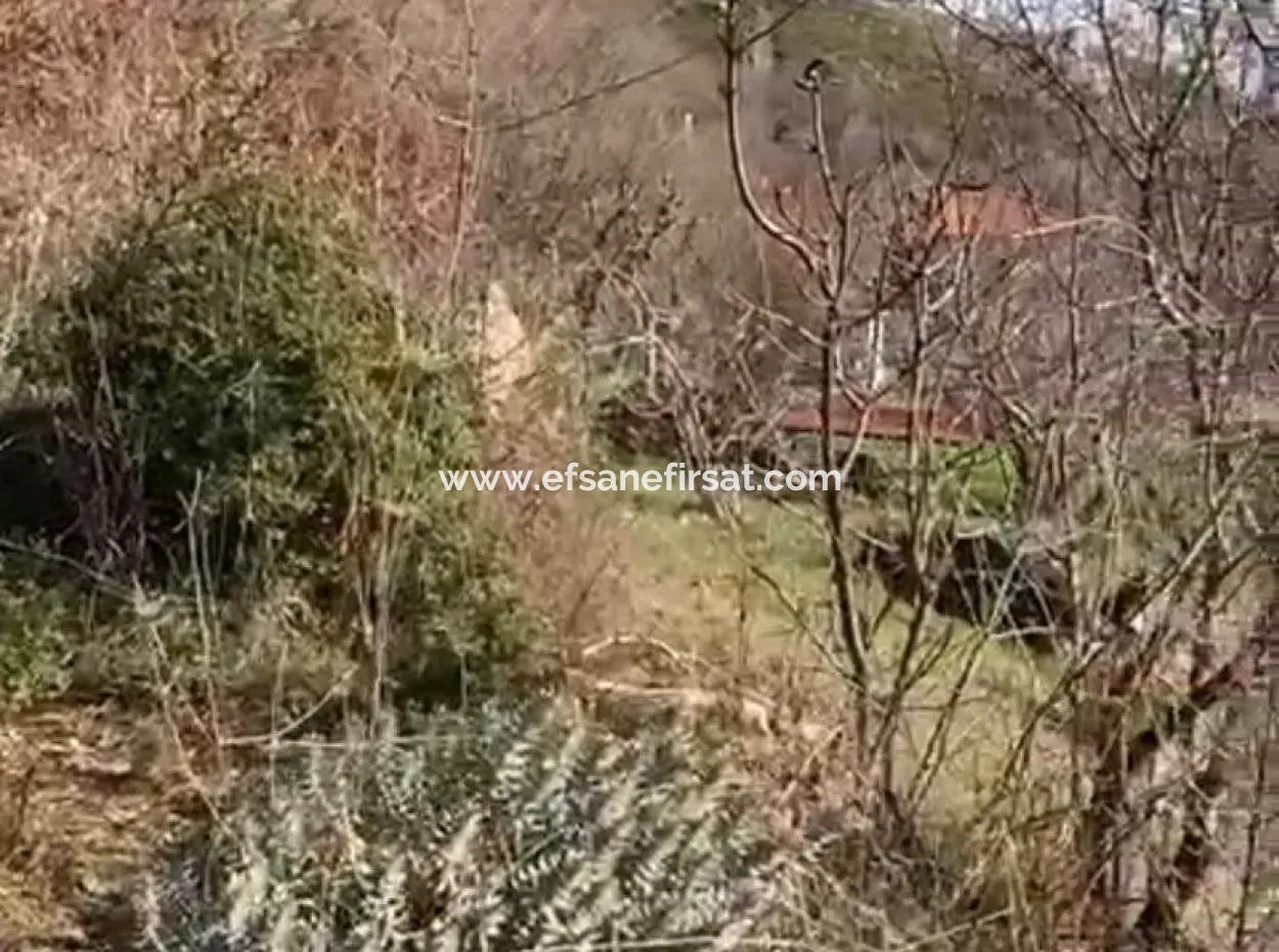 406 M2 Land For Sale In Menteşe Zeytinköy 