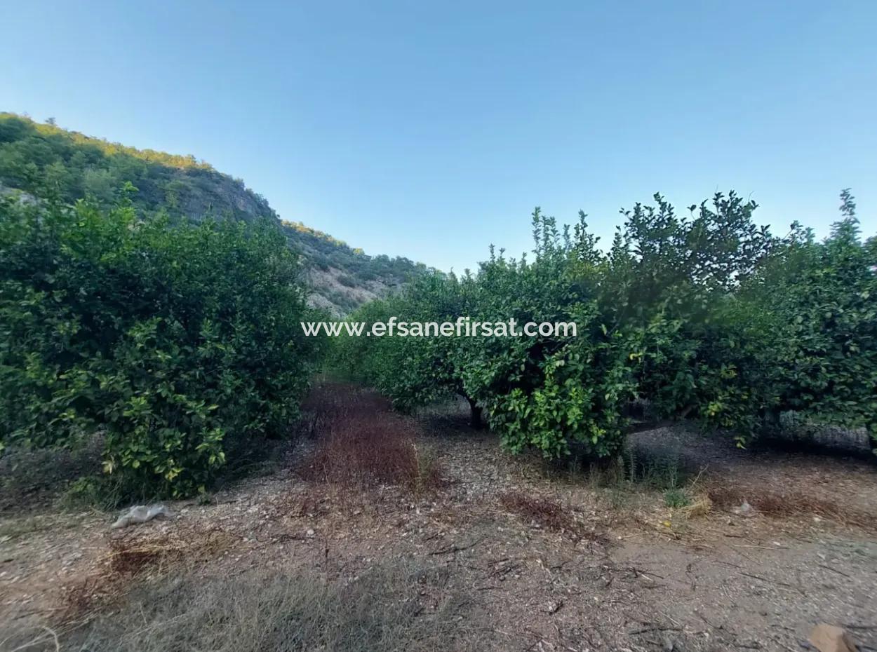 1.300 M2 Detached 250M2 Residential Zoned Land For Sale In Muğla, Ortaca, Karadonlar