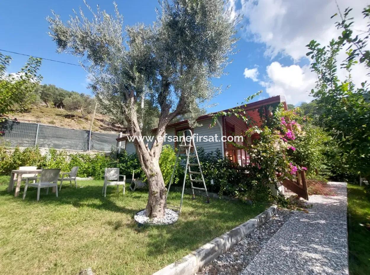Muğla Ortaca Gökbel Doga With Swimming Pool 1 1 Wooden Furnished Bungalow For Rent
