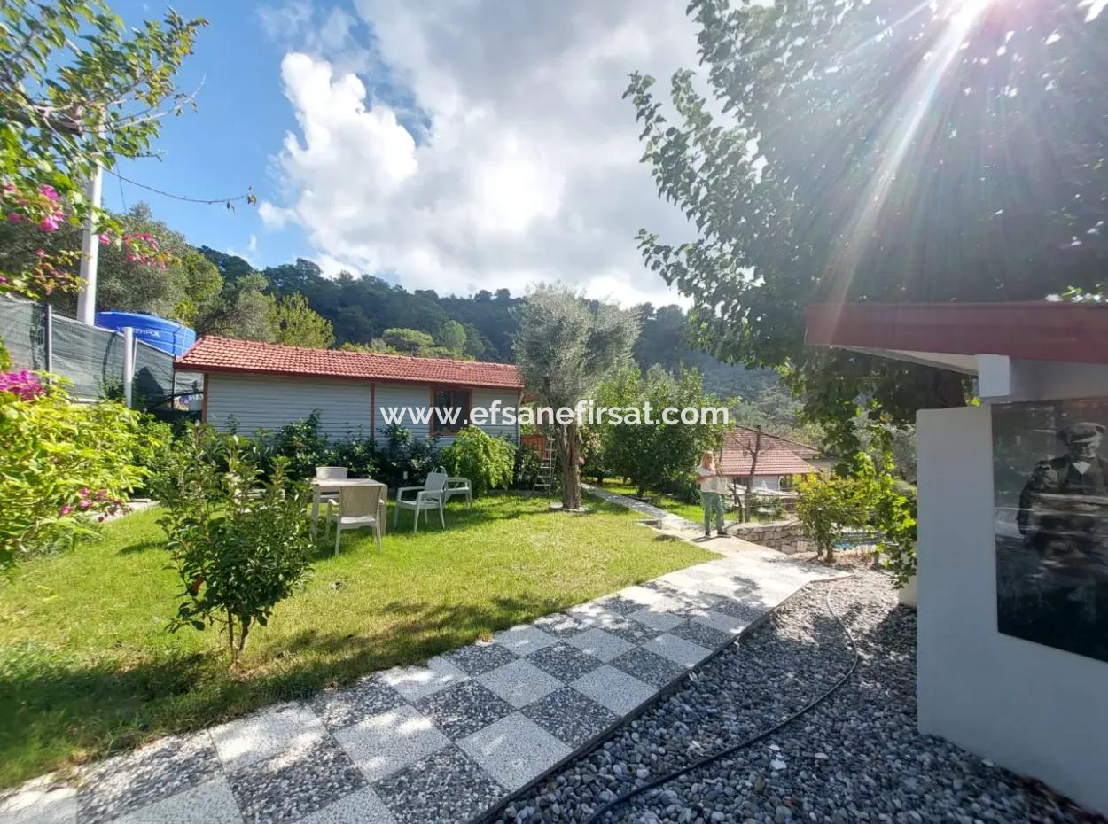 Muğla Ortaca Gökbel Doga With Swimming Pool 1 1 Wooden Furnished Bungalow For Rent