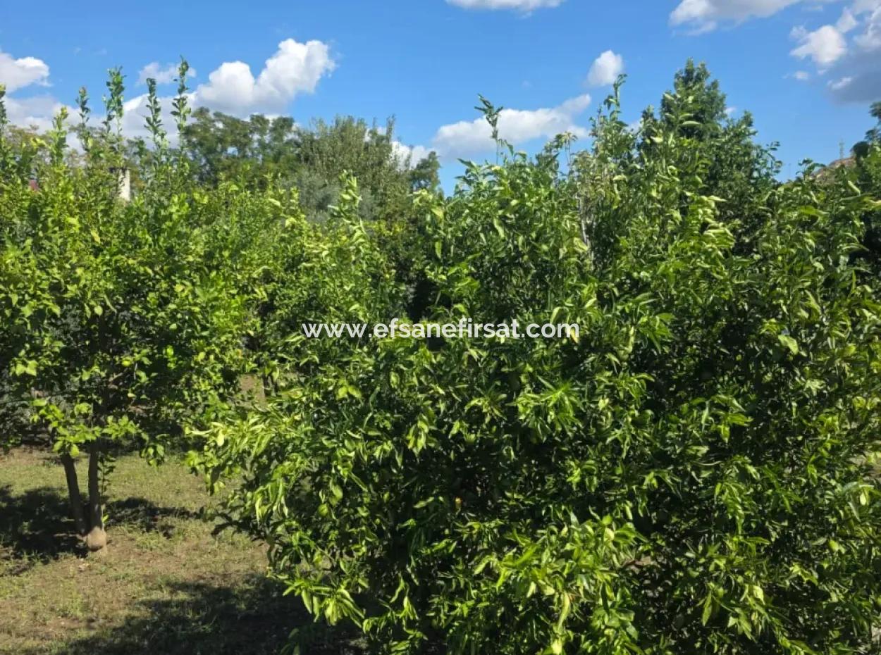 2 1, 70 M2 Village House For Sale On 902 M2 Land Zero To Ortaca Akıncı Sarıgerme Road