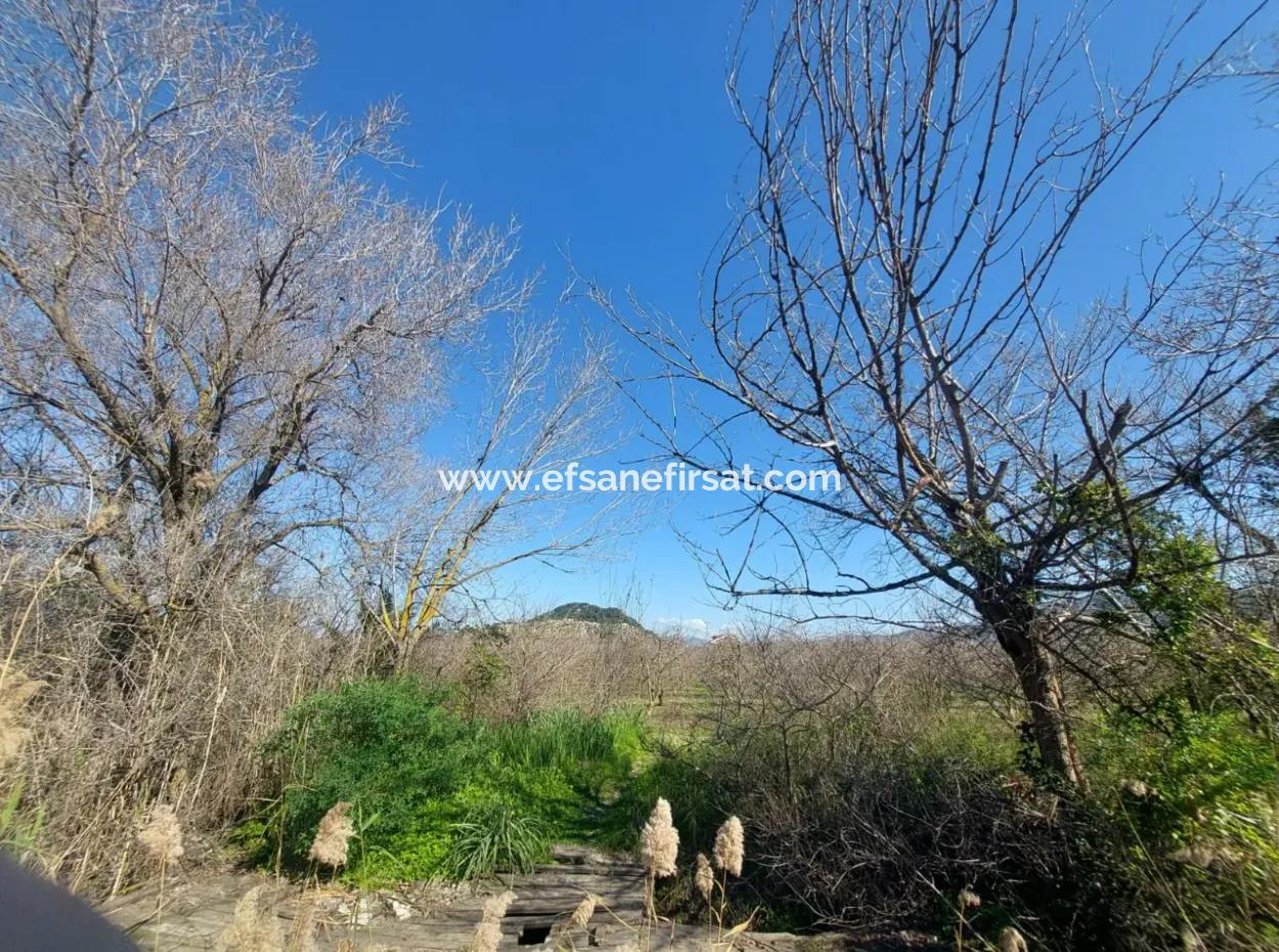 Muğla Dalyanda Canal Zero Detached Land With 5.000 M2 And 250 M2 Construction Rights For Sale