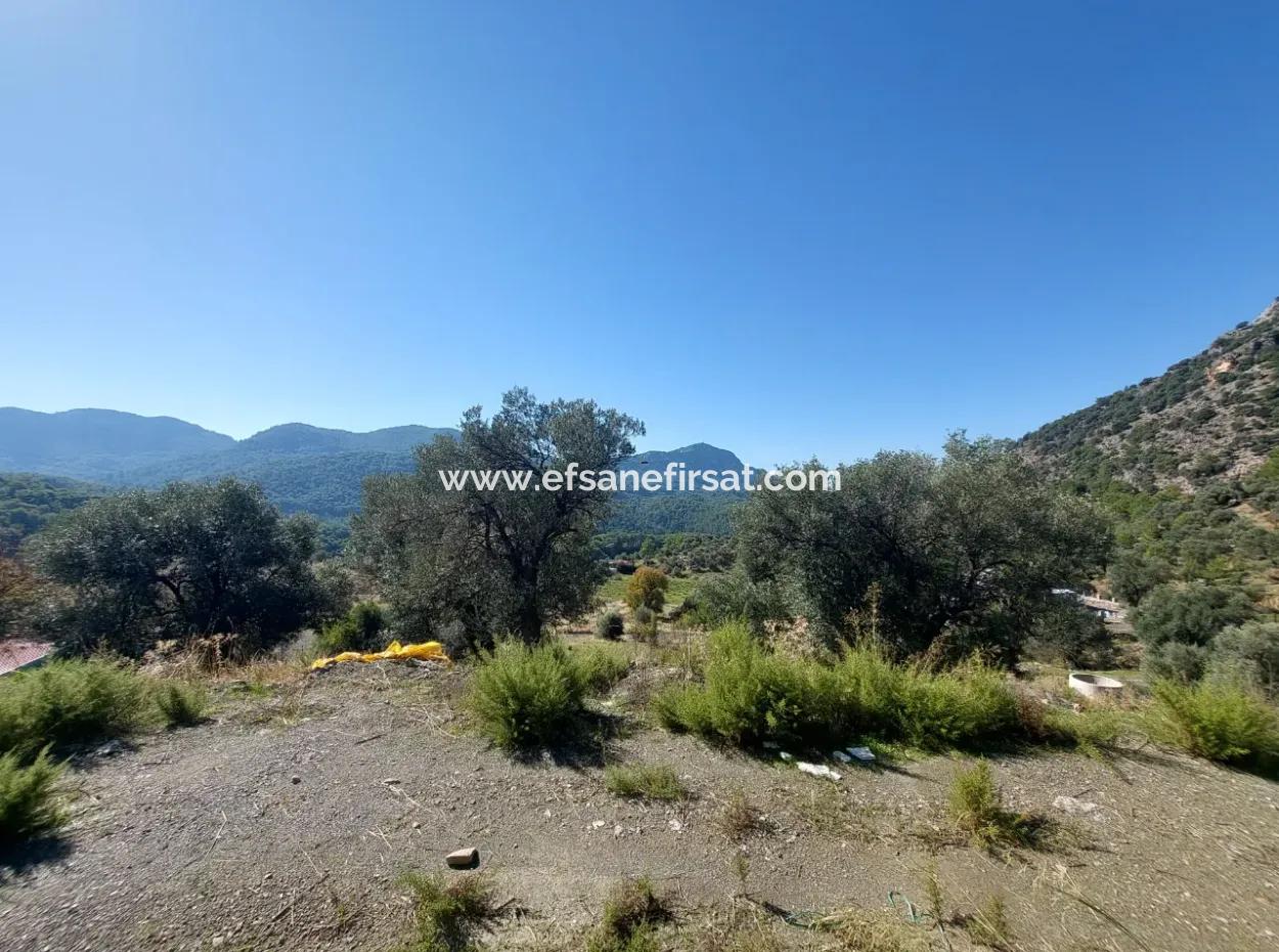 On 763 M2 Land In Ortaca Gökbel, Rough Construction 70 M2, 2 1 Prefabricated House For Sale
