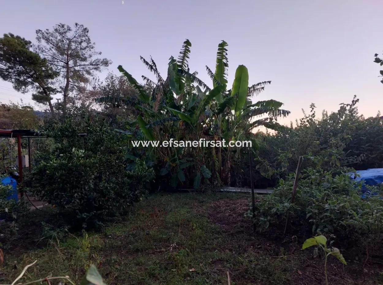 350 M2 Detached Tiny House Suitable Land For Sale In Ortaca Çaylı