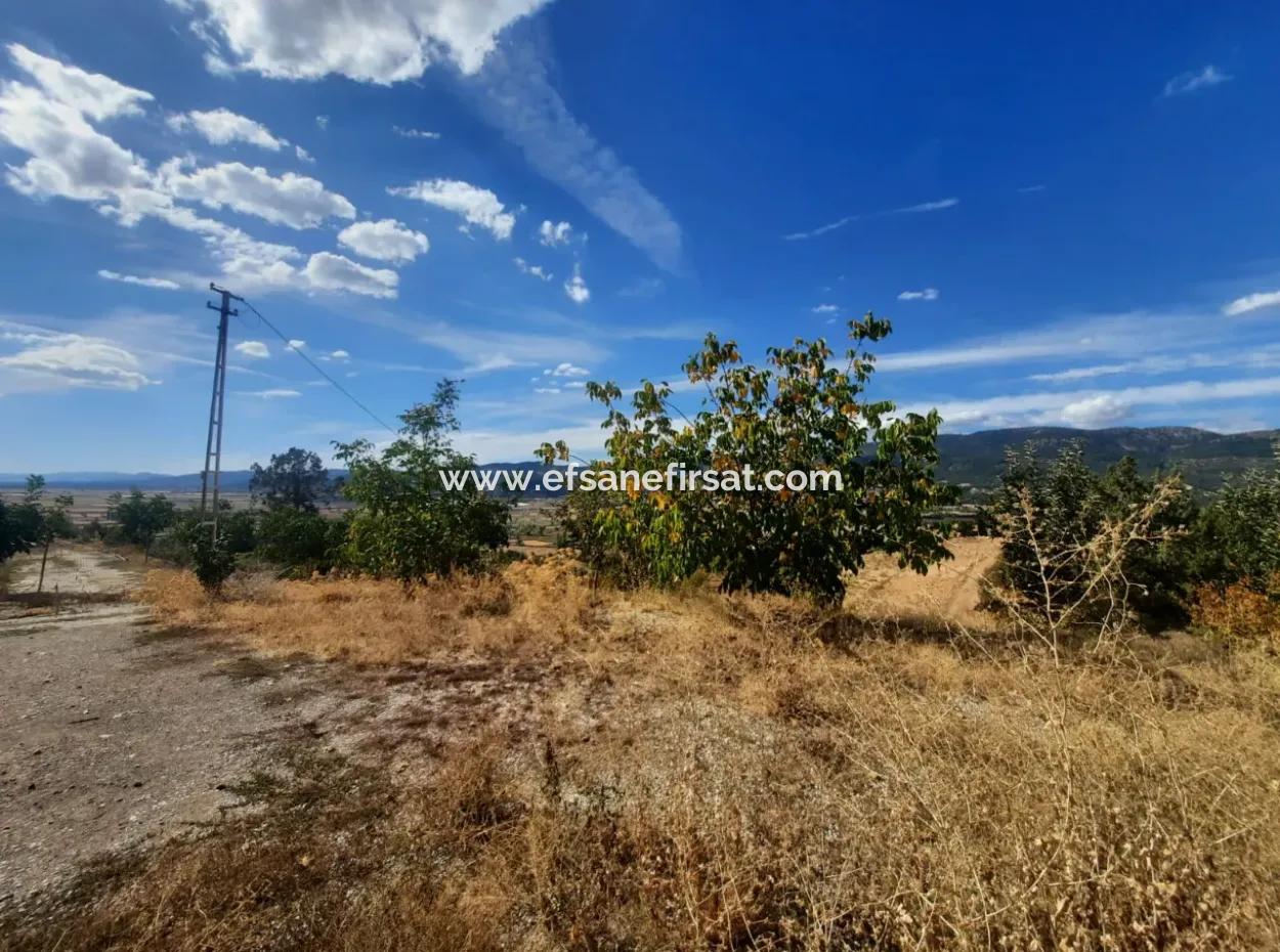 2 1 Houses And 200 M2 Barn On 5 000 M2 Detached Land In Çameli Kızılyaka For Sale